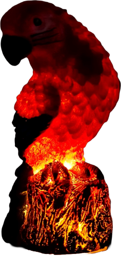 20240213_093151.png