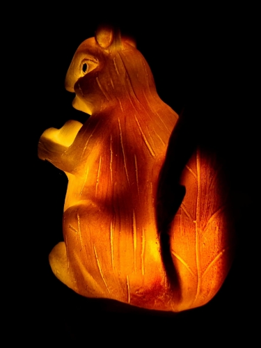 20240213_093730.jpg
