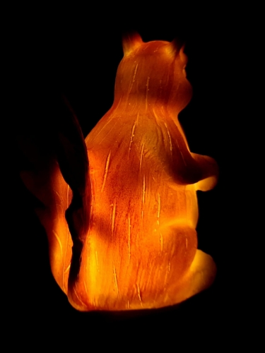 20240213_093733.jpg