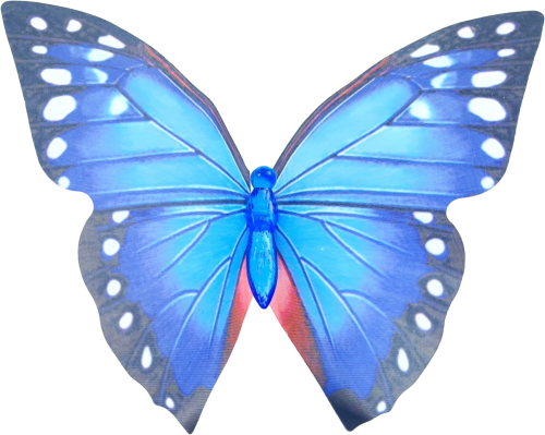 20240213_092644.png
