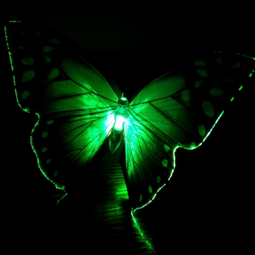 20240213_093335.jpg