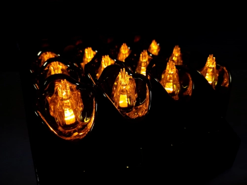 20240219_133252.jpg