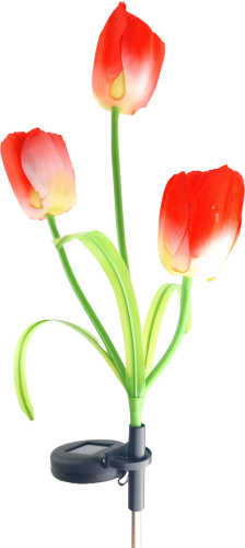 20240222_090841.png