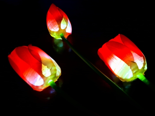 20240222_092004.jpg