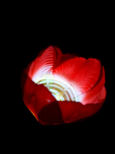 20240222_092133.jpg