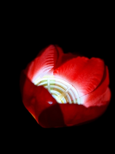 20240222_092134.jpg