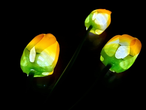 20240222_091447.jpg