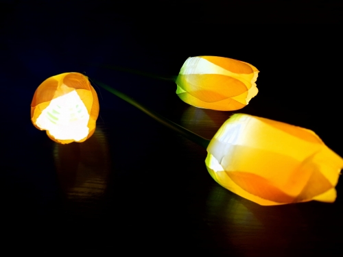 20240222_091509.jpg