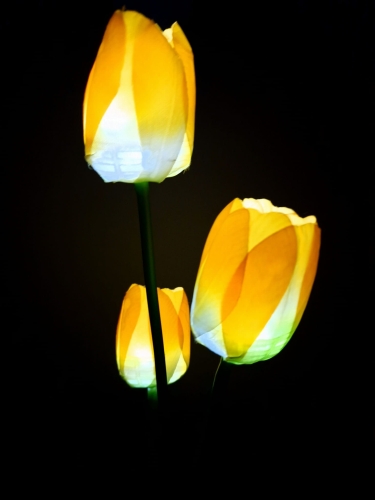 20240222_091559.jpg