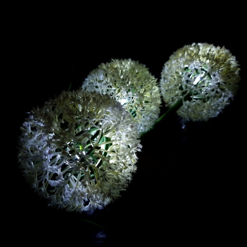 20240301_121048.jpg