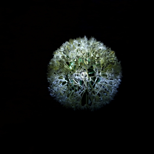 20240301_121111.jpg