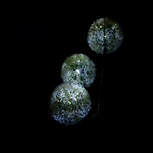 20240301_121134.jpg