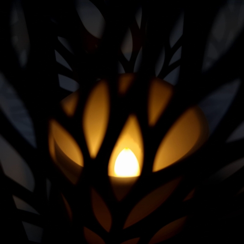 20240301_150727.jpg