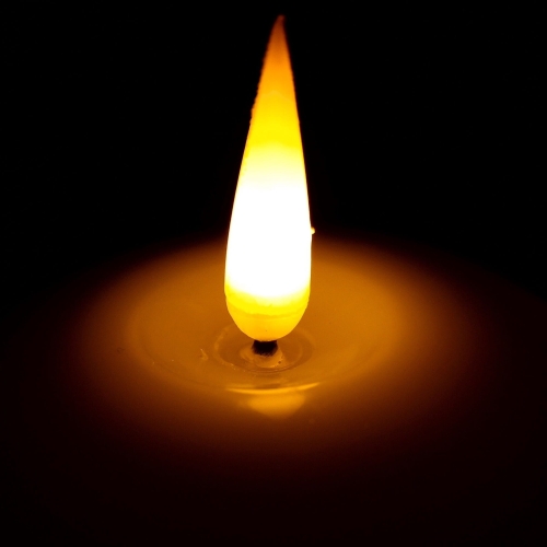 20240311_151059.jpg