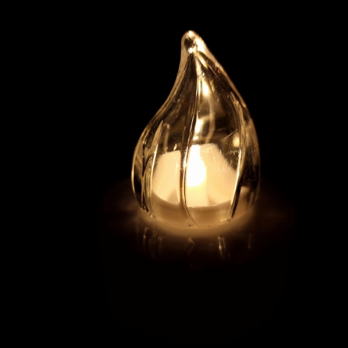 20240313_150332.jpg