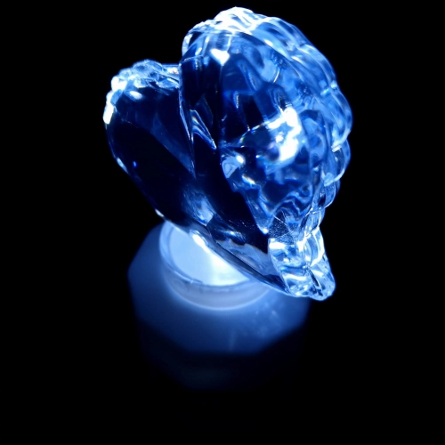 20240322_095214.jpg
