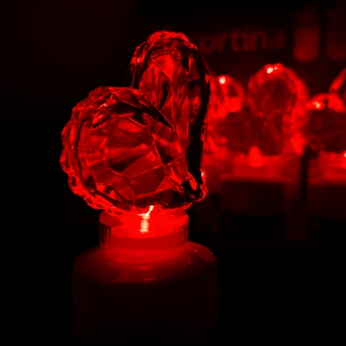 20240322_095409.jpg