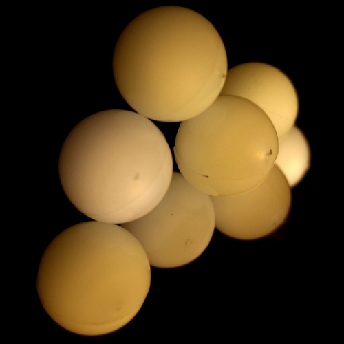 20240326_090434.jpg