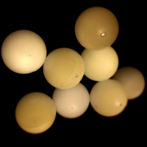 20240326_090456.jpg
