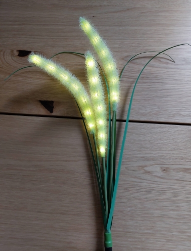 20250128_095802.jpg