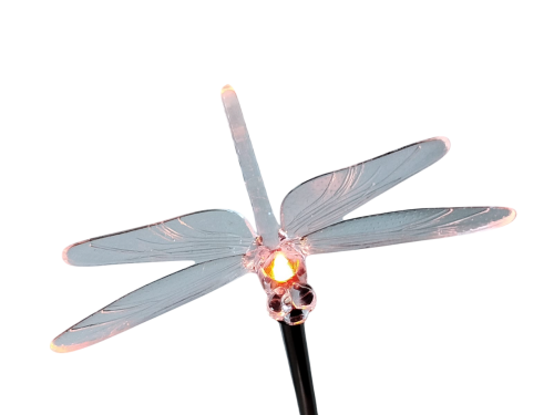 IMG-20250220-WA0073-Photoroom.png