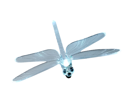 IMG-20250220-WA0074-Photoroom.png