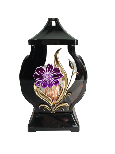 IMG_20250526_120739-Photoroom.png