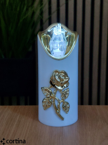 20260121_120354 (1).png