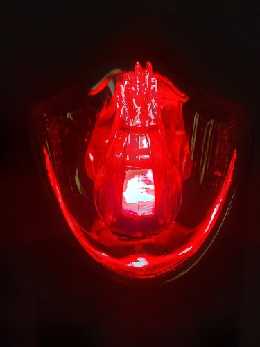 20260303_132702.jpg