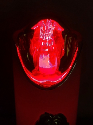 20260303_133028.jpg