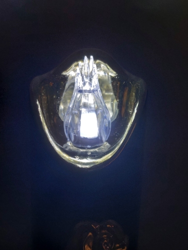 20260303_082151.jpg