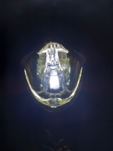 20260302_113311.jpg