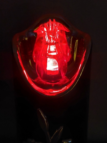 20260302_125009.jpg