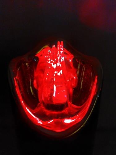 20260303_122459.jpg