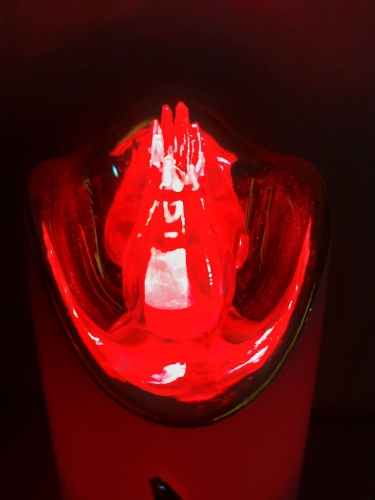 20260303_122421.jpg