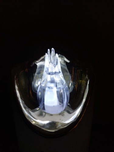 20260303_122504.jpg