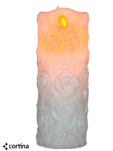 IMG20260309095009 (2).png