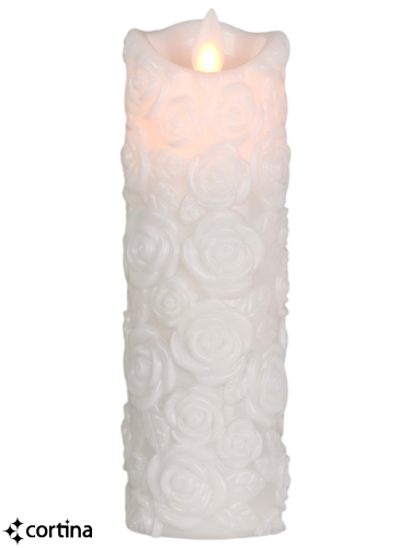 IMG20260309095126 (1).png