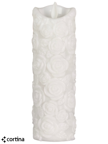 IMG20260309095126 (2).png