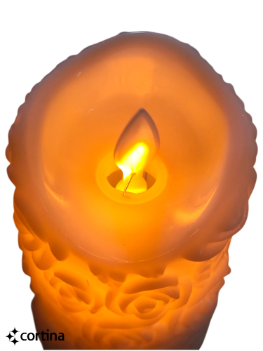IMG20260309095126 (3).png