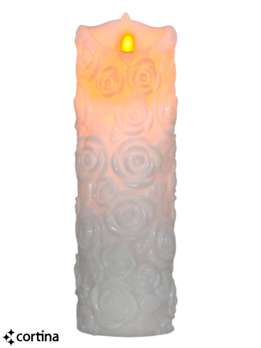 IMG20260309095126.png