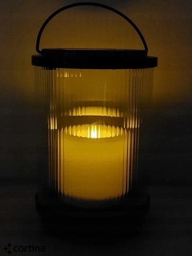24464_2_11zon.webp