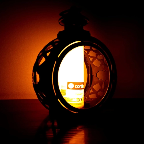 16887_16_11zon.webp