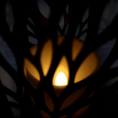 14651_15_11zon.webp