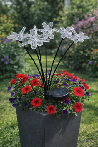 24638_6_11zon.webp
