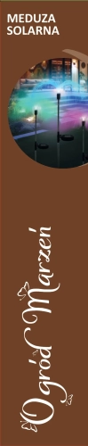 23597_17_11zon.webp
