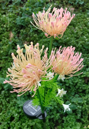 22075_8_11zon.webp