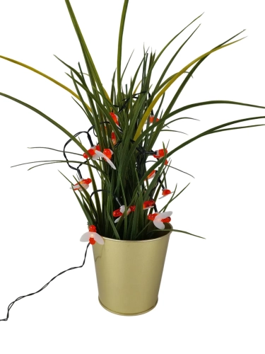 20195_2_11zon.webp