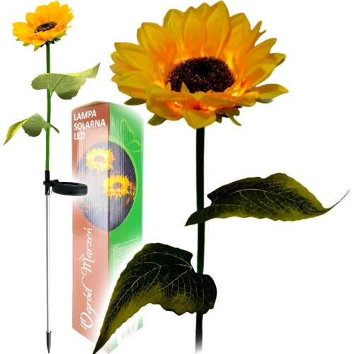 14589_1_11zon.webp