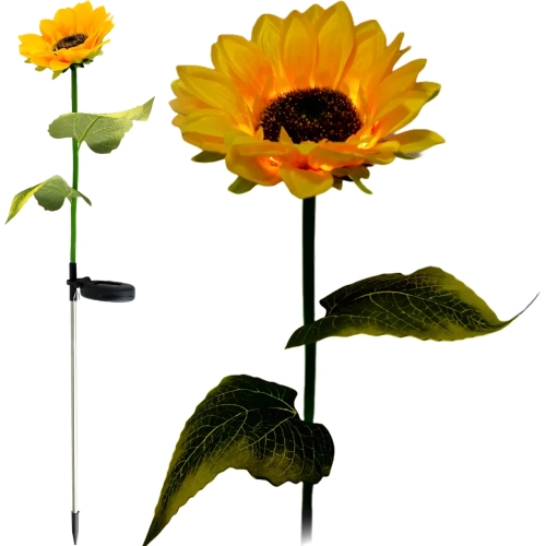 14590_20_11zon.webp